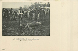 60* COMPIEGNE Chasse A Courre attente De La CureeMA102,1254 - Chasse