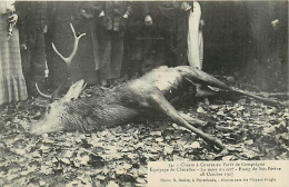 60*  COMPIEGNE Chasse A Courre -mort Du Cerf  MA102,1227 - Caza