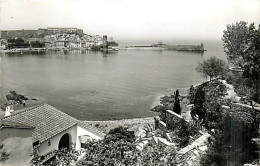 66* COLLIOURE  La Baie   CPSM(9x14)  MA103,0871 - Collioure