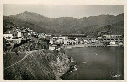 66* CERBERE  Gare CPSM(9x14)   MA103,0858 - Cerbere