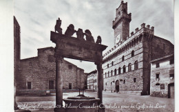 Montepulciano(siena) - Palazzo Comunale  - Cattedrale E Pozzo Dei Grifi E Dei Leoni - Non Viaggiata - Siena