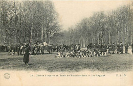 77* FONTAINEBLEAU Chasse A Courre -rapport MA104,0507 - Caza