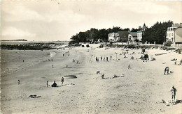 56* CARNAC Plage Legenese  CPSM(9X14)      MA105,0209 - Carnac