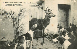 78* RAMBOUILLET Chasse A Courre  Cerf  MA104,1249 - Caccia