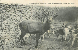 78* RAMBOUILLET  Chasse A Courre  Cerf Aux Abois   MA104,1254 - Caccia