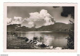 LAC  D' ANNECY :  LES  VOLCANS  -  PHOTO  -  FG - Annecy