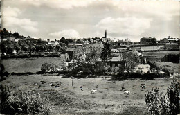 58* CHATEAU CHINON  CPSM(9X14)    MA105,0309 - Chateau Chinon