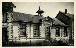 61* LE MERLERAULT Ecole Des Filles  CPSM(9X14)  MA105,1374 - Le Merlerault