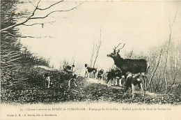 60* COMPIEGNE  Chasse A Courre  Hallali Rethondes       MA105,1141 - Chasse