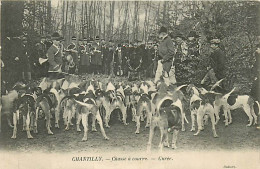 60* CHANTILLY   Chasse A Courre   Curee       MA105,1142 - Jagd