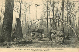 92* MEUDON Chene Des Missionnaires - Menhirs   MA106,0210 - Meudon