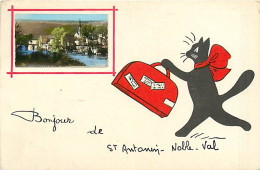 82* ST ANTONIN NOBLE VAL  Bonjour ( Chat)    CPSM(9x14cm)   MA107,0194 - Saint Antonin Noble Val