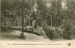 94* VINCENNES Bois Apres Cyclone  1908   MA106,0787 - Vincennes