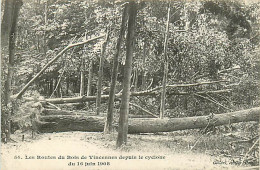 94* VINCENNES Bois Apres Cyclone  1908   MA106,0786 - Vincennes