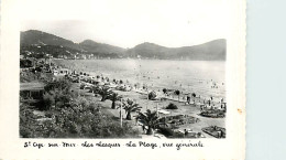 83* ST CYR SUR MER Plage  CPSM(9x14cm)     MA107,0397 - Saint-Cyr-sur-Mer