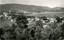 83* CAVALAIRE  CPSM(9x14cm)      MA107,0370 - Cavalaire-sur-Mer