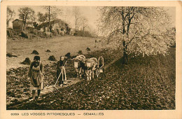 88* VOSGES Semailles       MA107,1006 - Landwirtschaftl. Anbau