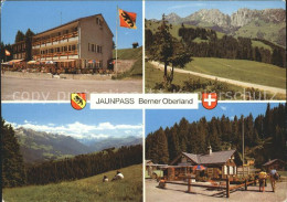 11713755 Jaunpass Hotel Des Alpes Simmental Gastlosen Sportbazar Jaunpass - Andere & Zonder Classificatie