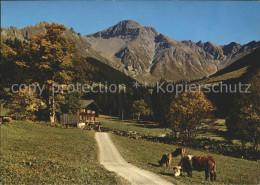 11712912 Matten St Stephan Im Fermeltal Mit Gs?r Matten St Stepahn - Autres & Non Classés