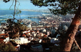 N°1892 W -cpsm Alger -vue Panoramique- - Algiers