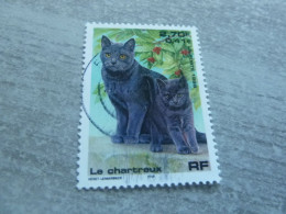 Le Chartreux - Nature De France - 2f.70 (0.41€) - Yt 3283 - Multicolore - Oblitéré - Année 1999 - - Gatos Domésticos