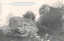 88-ARCHES RUINES DU CHATEAU-N°T1072-D/0311 - Other & Unclassified