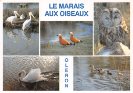 17-ILE D OLERON LE MARAIS AUX OISEAUX-N°T1073-C/0209 - Ile D'Oléron