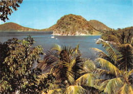 971-GUADELOUPE LES SAINTES-N°T1073-E/0355 - Other & Unclassified