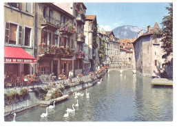 74 - ANNECY - LE THIOU ET LES VIEUX QUARTIERS - - Annecy