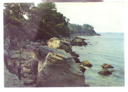 85 - ILE-de-NOIRMOUTIER - ROCHERS DU BOIS DE LA CHAINE - ANIMÉE - - Ile De Noirmoutier