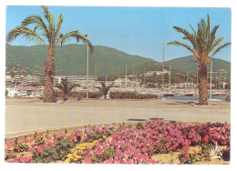 83 - CAVALAIRE-sur-MER - UN COIN FLEURI - - Cavalaire-sur-Mer