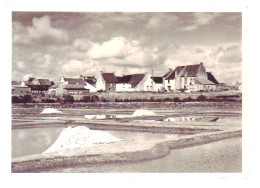 56 - GUERANTE - VILLAGE PALUDIER ET MARAIS SALANTS - - Sonstige & Ohne Zuordnung