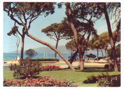 06 - JUAN-les-PINS - LA PINEDE - - Juan-les-Pins