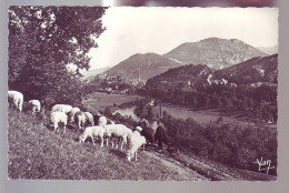 65 - LOURDES - VALLÉE ET LE PIC DU JER - MOUTONS EN PATURAGE - - Lourdes