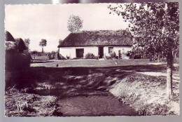 85 - EN VENDÉE - UNE BOURRINE DU PAYS DE MONTS - - Sables D'Olonne