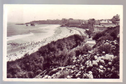 64 - BIARRITZ - LES HORTENSIAS ET LA GRANDE PLAGE - - Biarritz