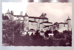 31 - VILLEFRANCHE-de-LAURAGAIS - CHATEAU DE VIEILLEVIGNE - - Otros & Sin Clasificación