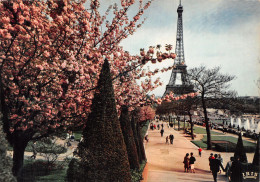 75-PARIS LA TOUR EIFFEL-N°T1074-A/0375 - Eiffelturm