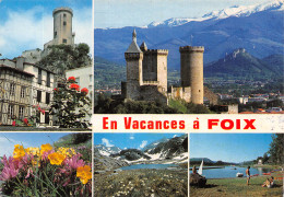 09-FOIX -N°T1073-F/0243 - Foix
