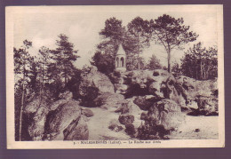 45 - MALESHERBES - LA ROCHE AUX AMIS - - Malesherbes