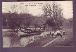 94 - BORDS DE MARNE - VUE GÉNÉRALE - TROUPEAUX DE MOUTONS - - Other & Unclassified