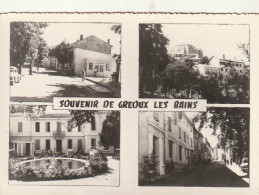 ****  04  ***  Souvenir De Greoux Les Bains TTBE  Multi-vues Timbrée  - Gréoux-les-Bains