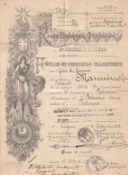 FOGLIO DI CONGEDO ILLIMITATO - XIII REGGIMENTO FANTERIA - PALERMO / TRAPANI 1902 - Documentos