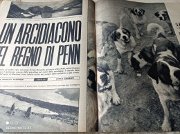 LE ORE 1958 CANI SAN BERNARDO PASSO SAN BERNARDO - Andere & Zonder Classificatie