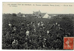 LES GRANS VINS DE VOUVRAY ; Ch. Vavasseur, Propriétaire - Clos Des Roches : Les Vendanges - Vouvray