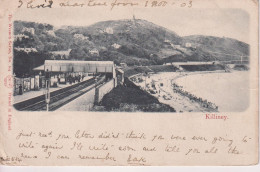 IRELAND - Killiney - Vignette View Of Railway Station & Beach. Undivided Rear. 1903 Postmark To Scotland - Dublin