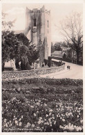 Cumbria - Daffodil Time At GRASMERE Church - Other & Unclassified