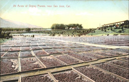 11705557 San_Jose_California Acres Of Drying Prunes - Altri & Non Classificati