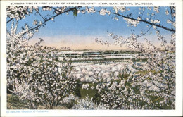 11705378 Santa_Clara_California Blossom Time Prune Trees - Sonstige & Ohne Zuordnung