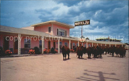 11705324 Moville_Iowa Motel 20 Bueffel - Andere & Zonder Classificatie